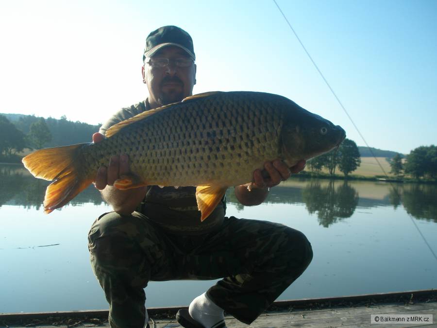 Kapřik