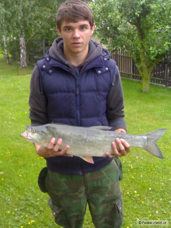 Krasavec =)