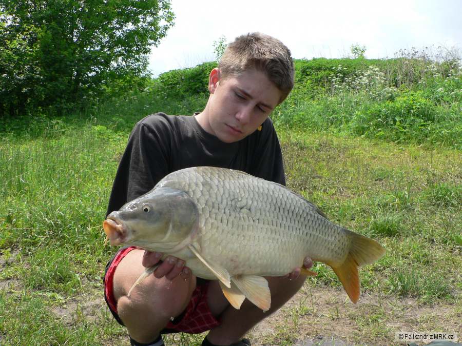 Další hezoun