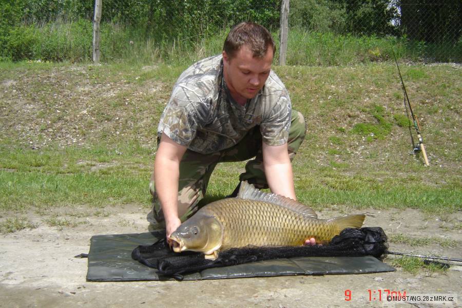 sezona 2010