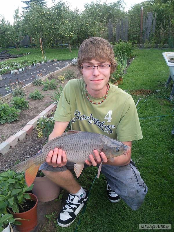 kaprik