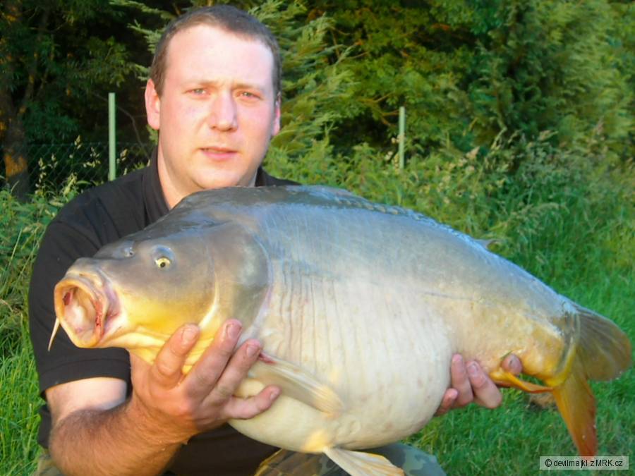 kapr 82cm a 12,8 kg