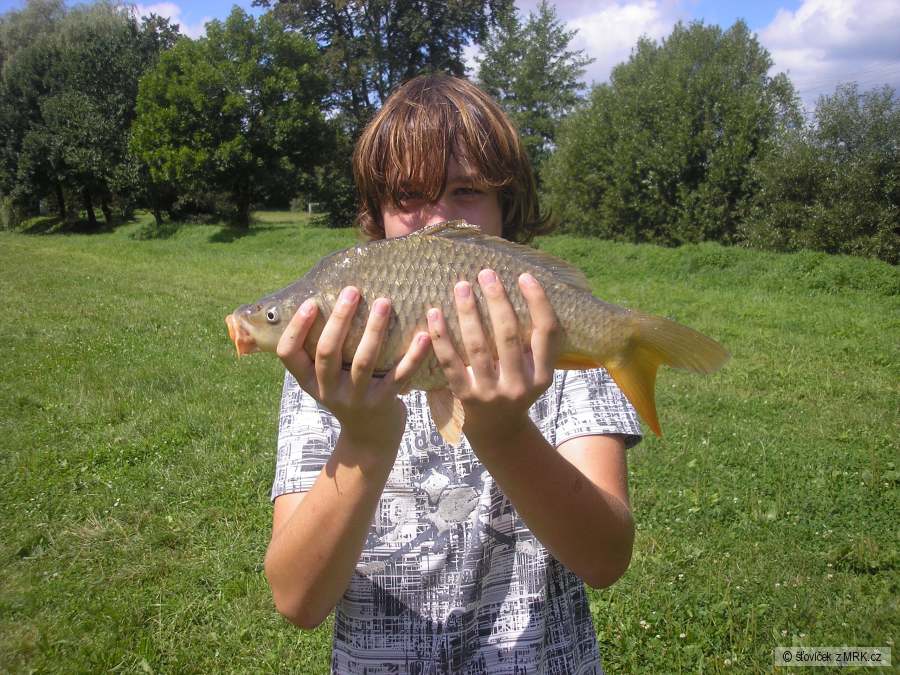 kapřík 44 cm