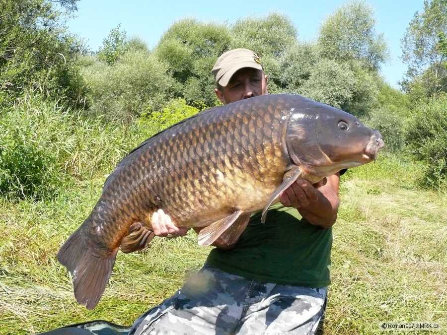 103cm-21,5kg