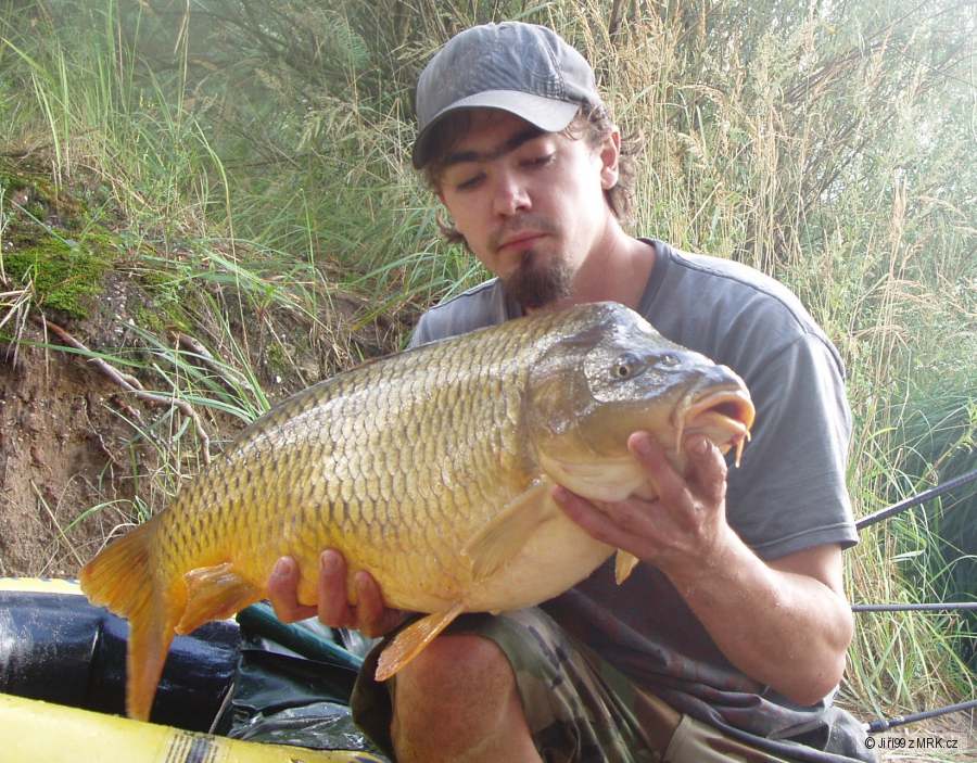 9,6 kg, 76 cm