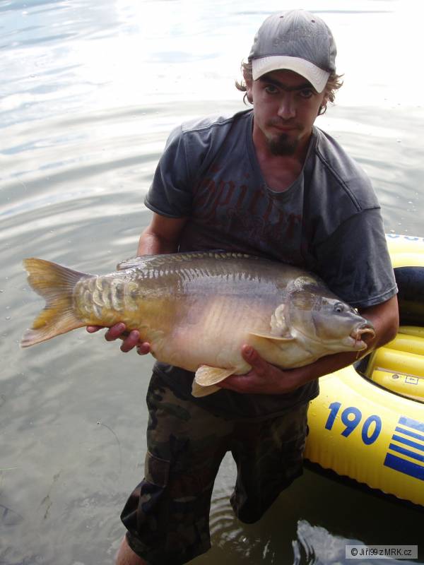 11,6kg 76cm