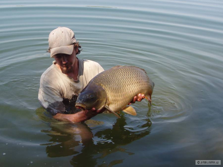 9kg 80 cm