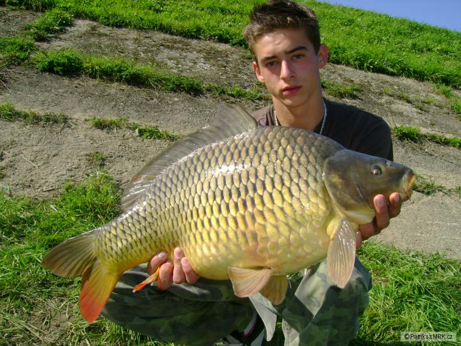 Morava