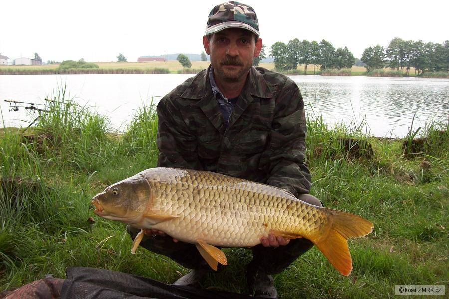 kapr 76cm a 7kg