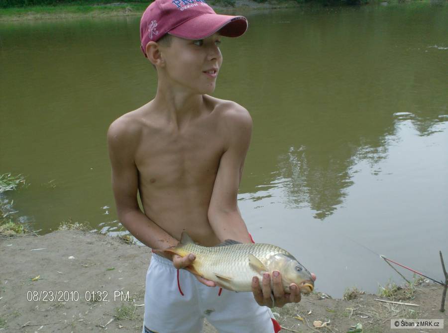 sázavský bojovník