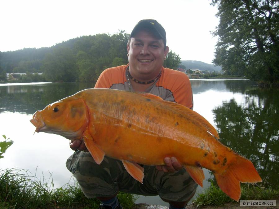 78cm 9.60kg SVAZOVKA