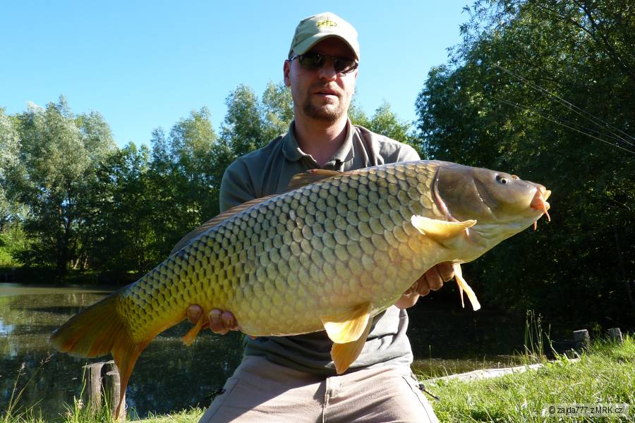 Carp Team M&M