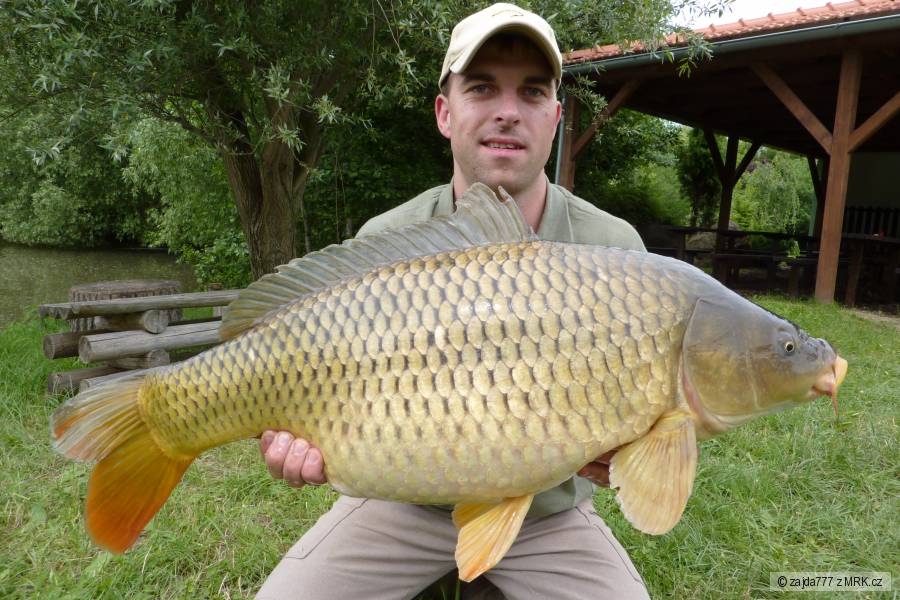 Carp Team M&M
