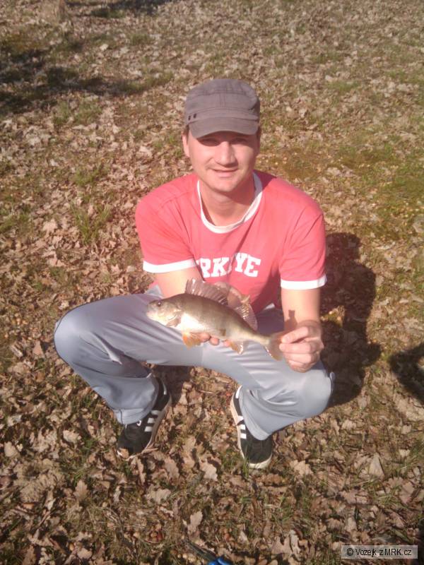 okounek 29cm