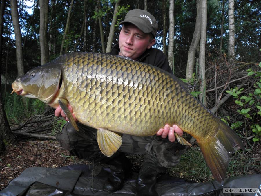 13kg