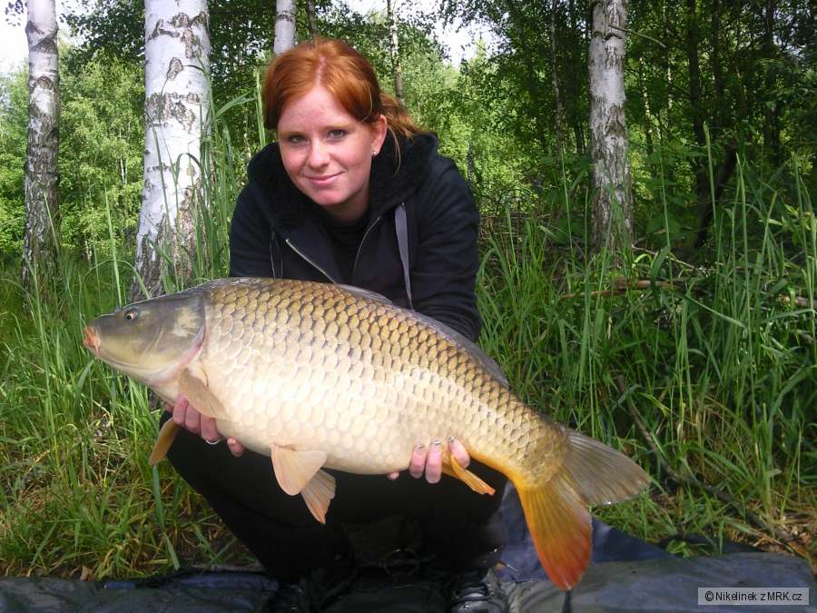 8kg miláček