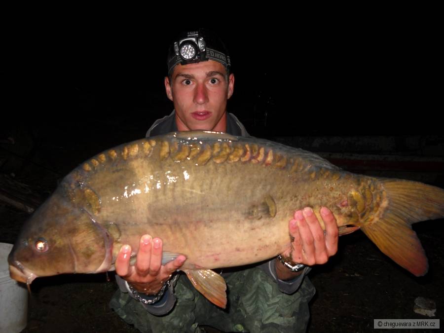 77cm a 10,5kg
