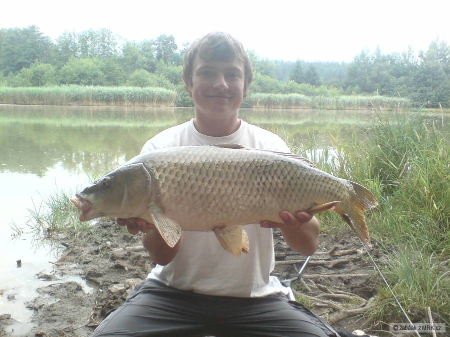 kaprík 62cm 5kg
