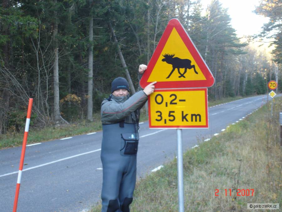 To není ryba