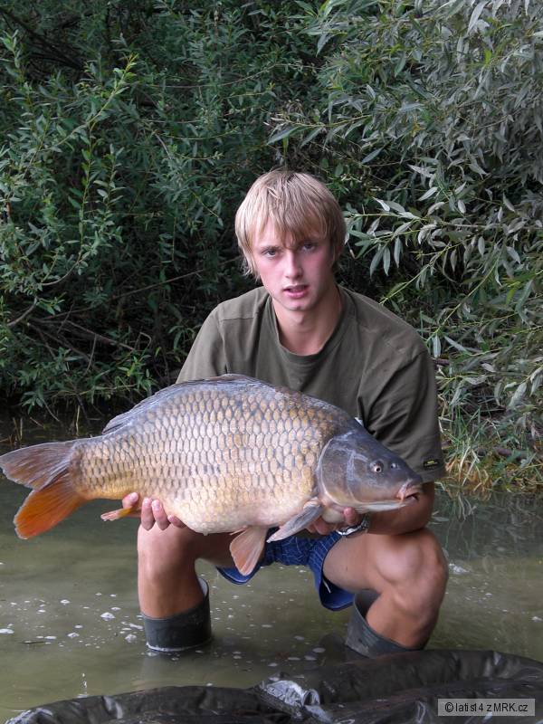 kapr 71cm 9,1kg obl�ben� svazov� 