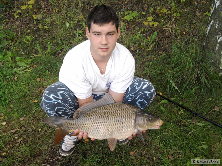 Kapr 57cm 4kg