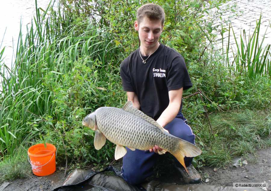 Ranní kapr o mírách 83cm a 10kg