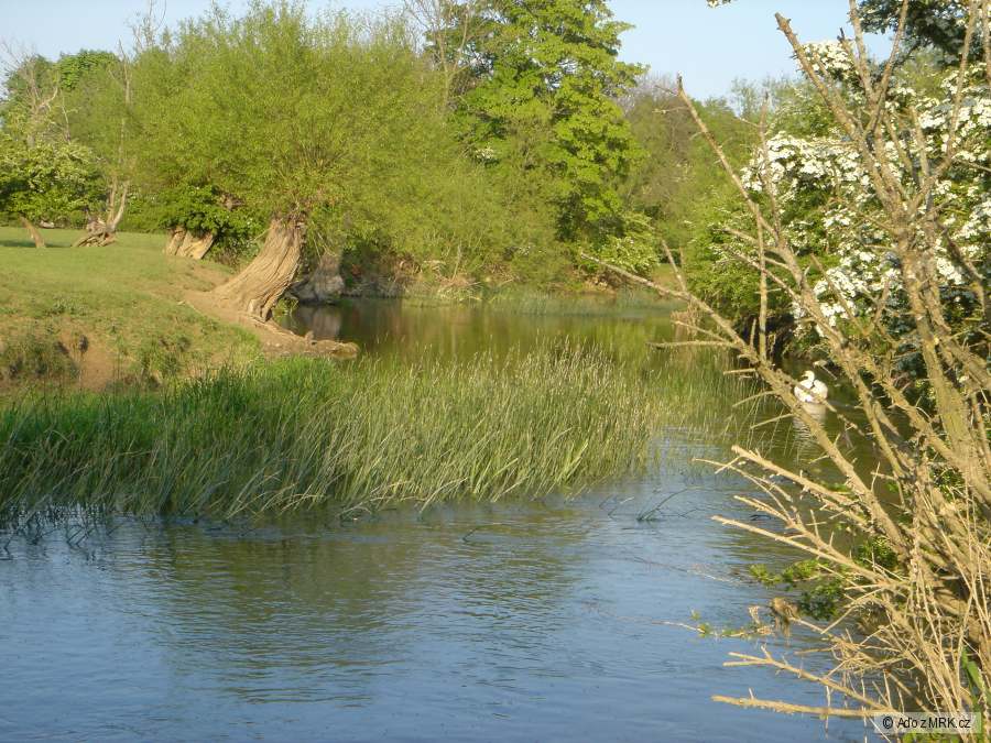 Cherwell v Kidlingtone