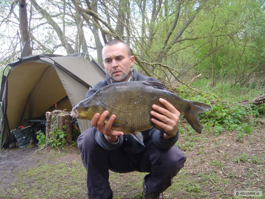 jarny pleskac