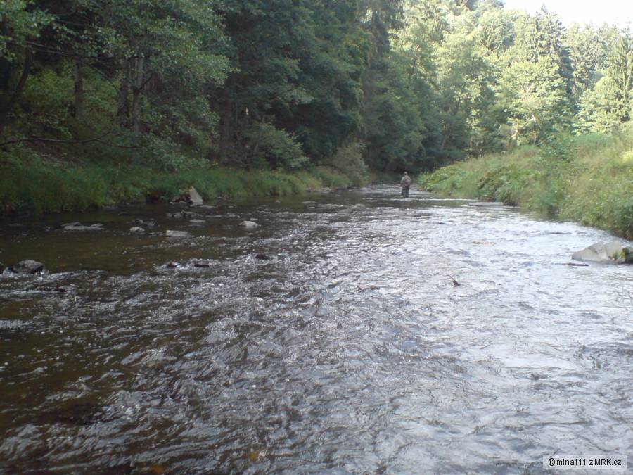 okolí střely