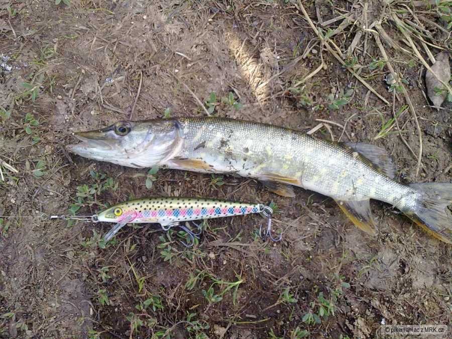 Rapala Floating 7cm