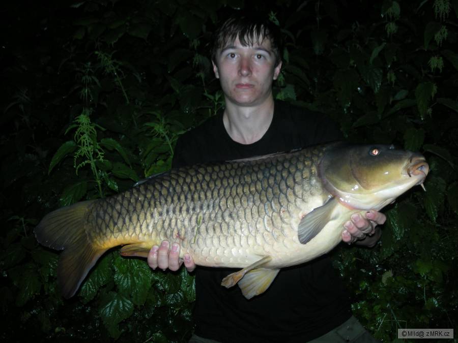 11 kg
