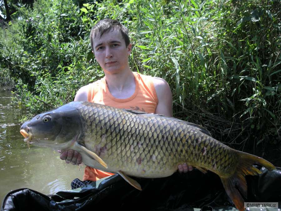 14 kg; 95 cm (2/2)
