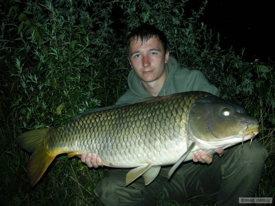 9,75 kg; 81 cm