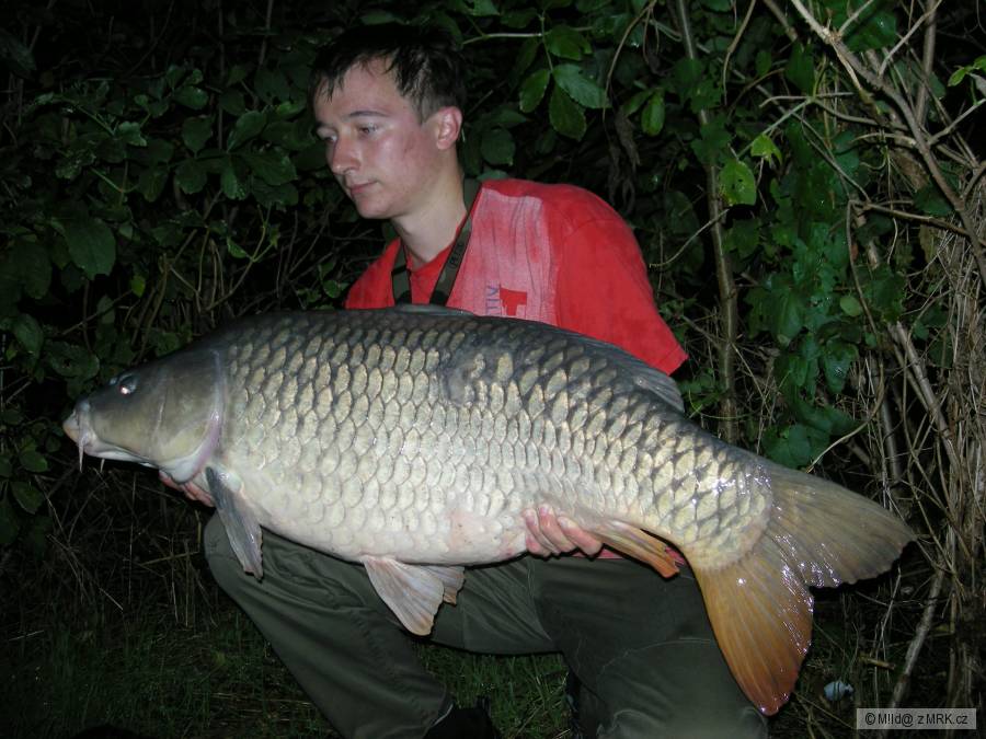 15 kg, 90 cm (1/2)