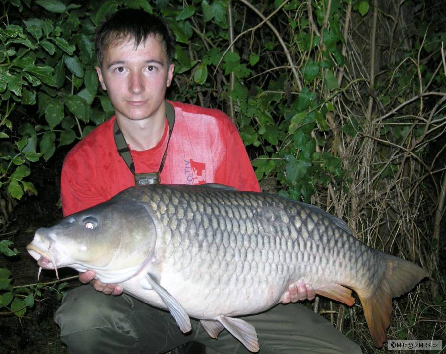 15 kg, 90 cm (2/2)