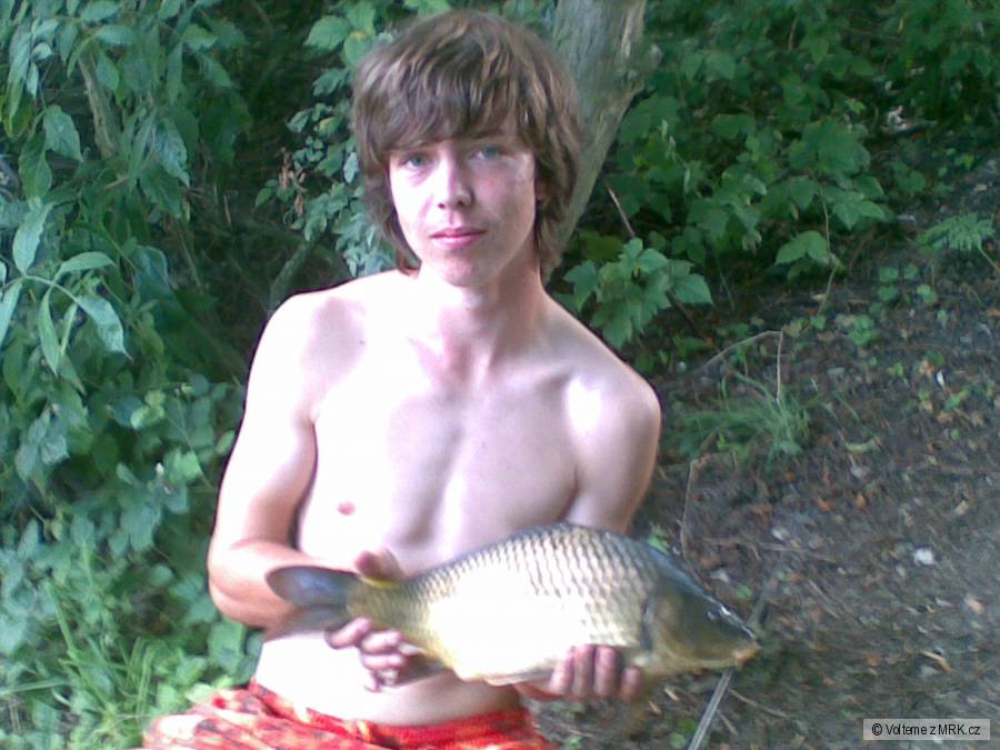 Kapr 44 cm