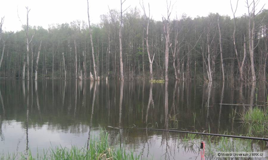 Taková místa vyhledávam nejradši
