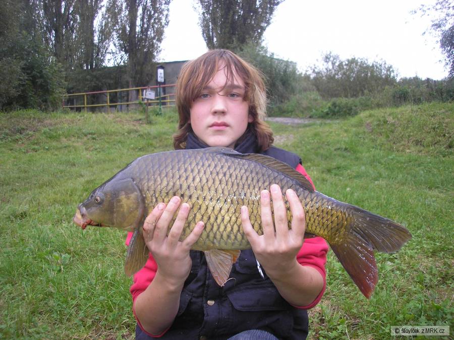 kapr 61 cm