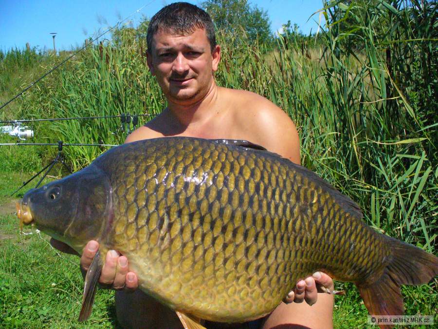 14 kg