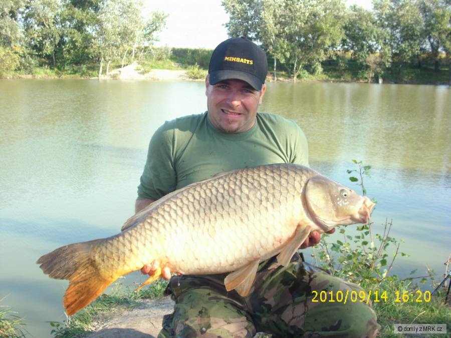 15,5kg-91cm