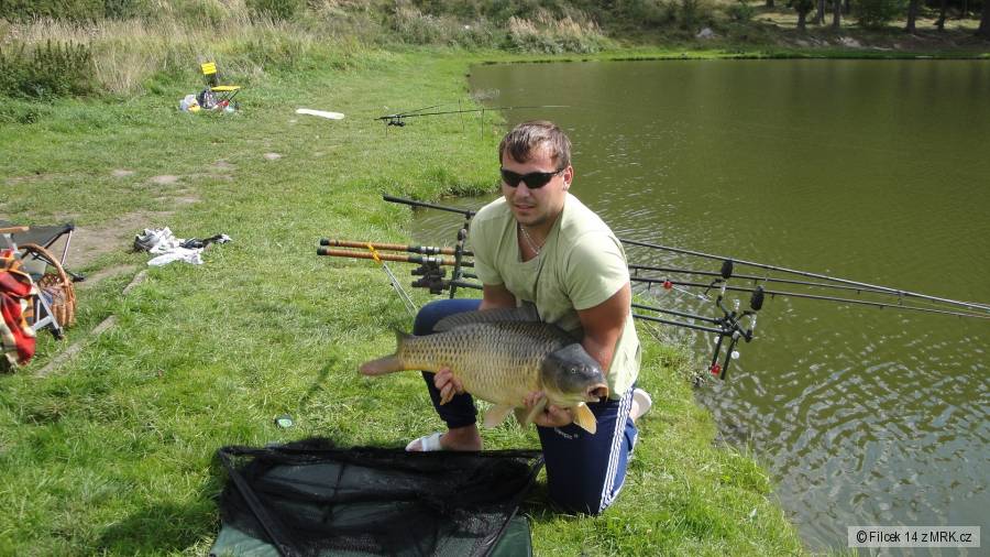 Kapr 85cm, 10,5kg