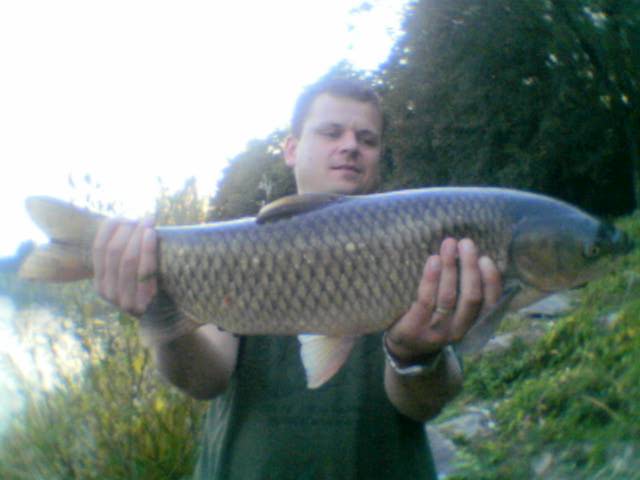 labe