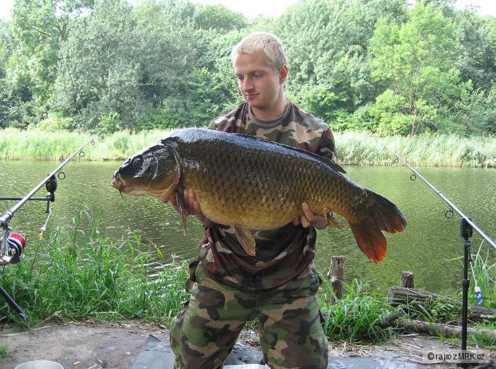 Kapor 16,5 kg 95 cm