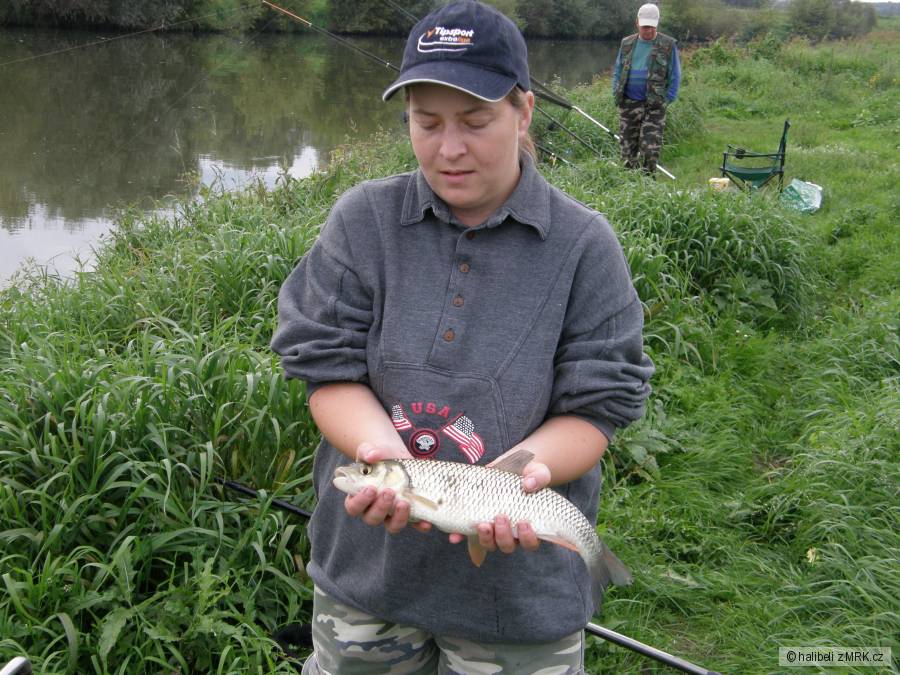 morava 8