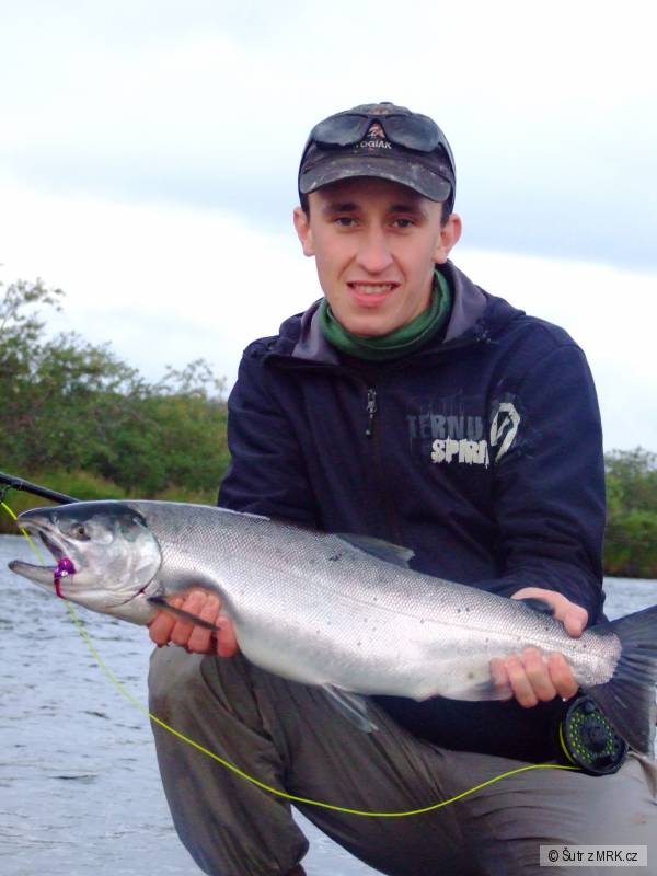 coho