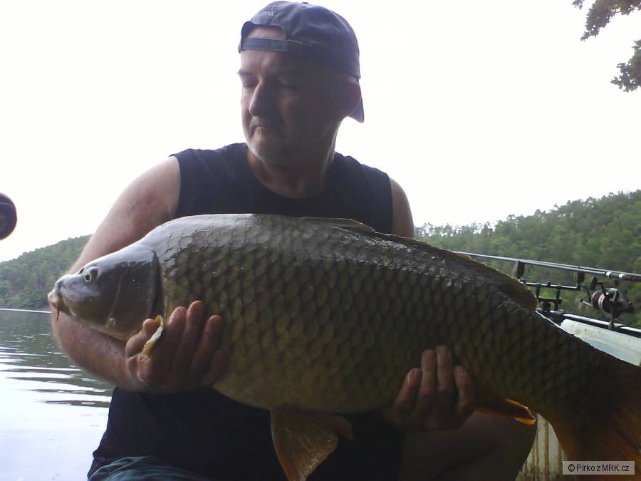 ORLÍK-KAPR-15KG,88CM