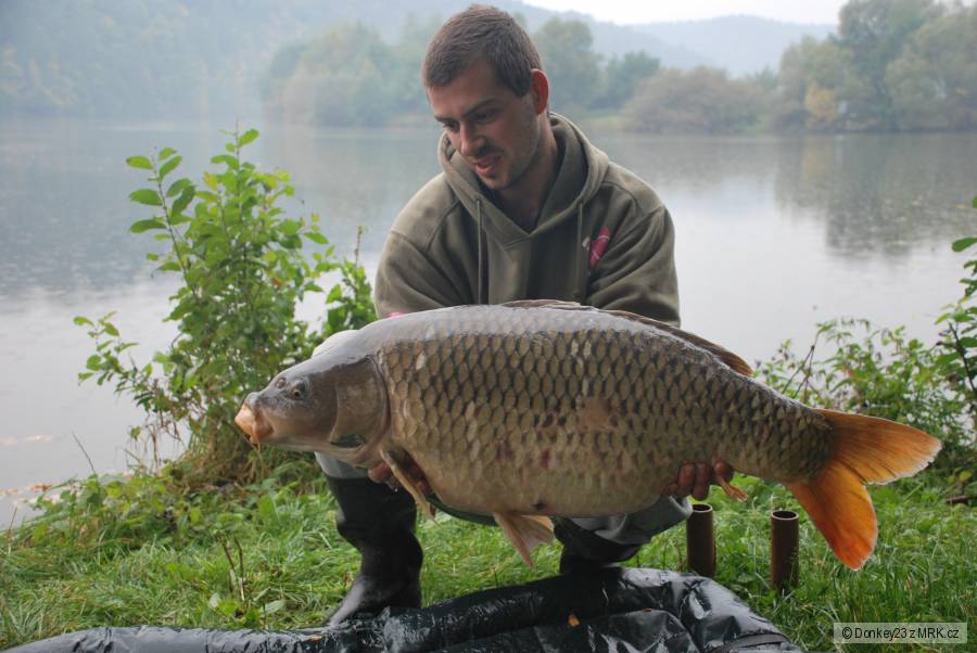 Kapříček 91cm, 14,2kg