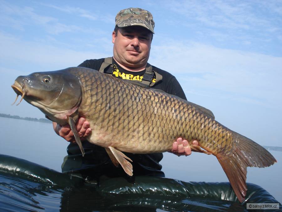94cm,15,1kg