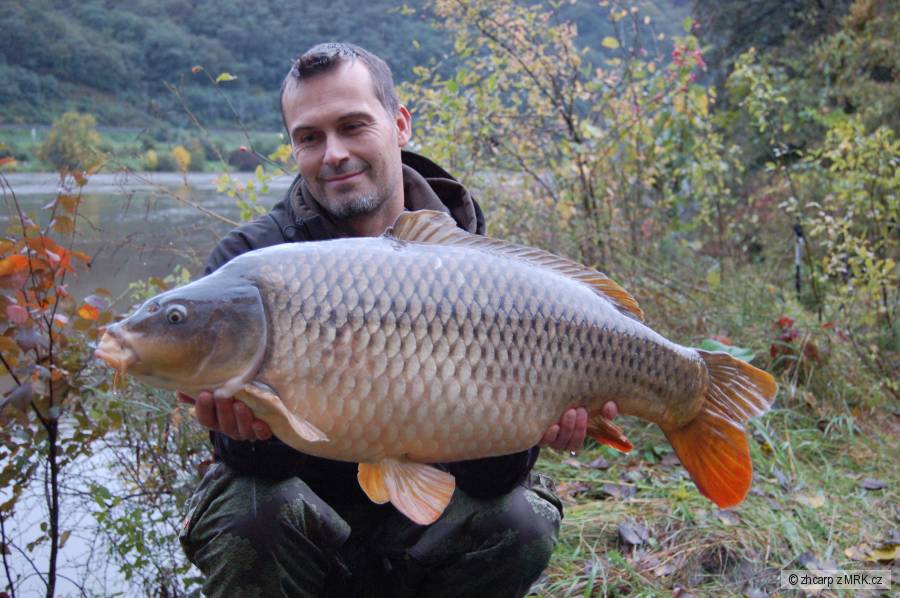 13.20 kg - 82 cm