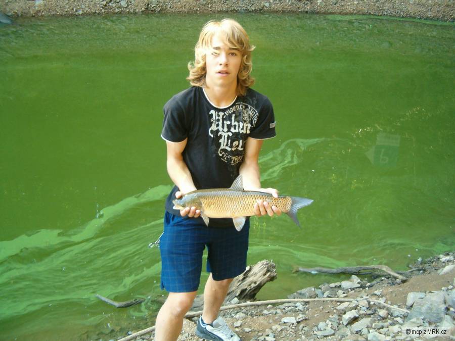 Amur
